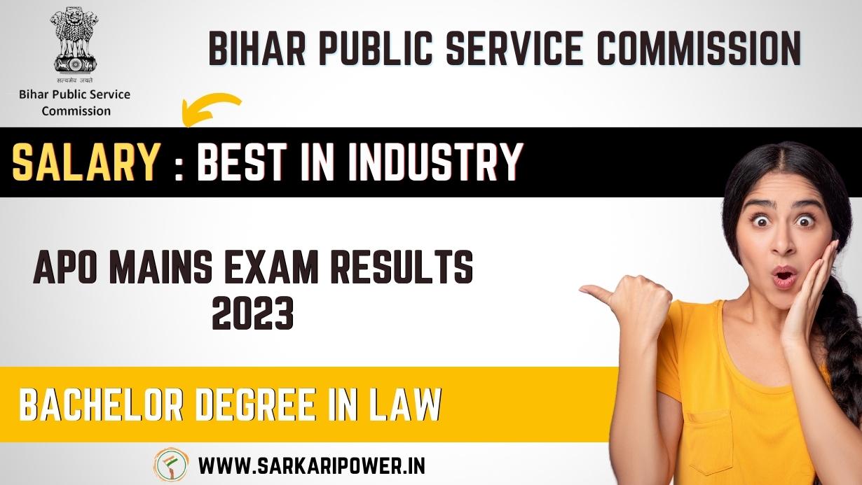 Bihar BPSC APO Mains Exam Results 2023